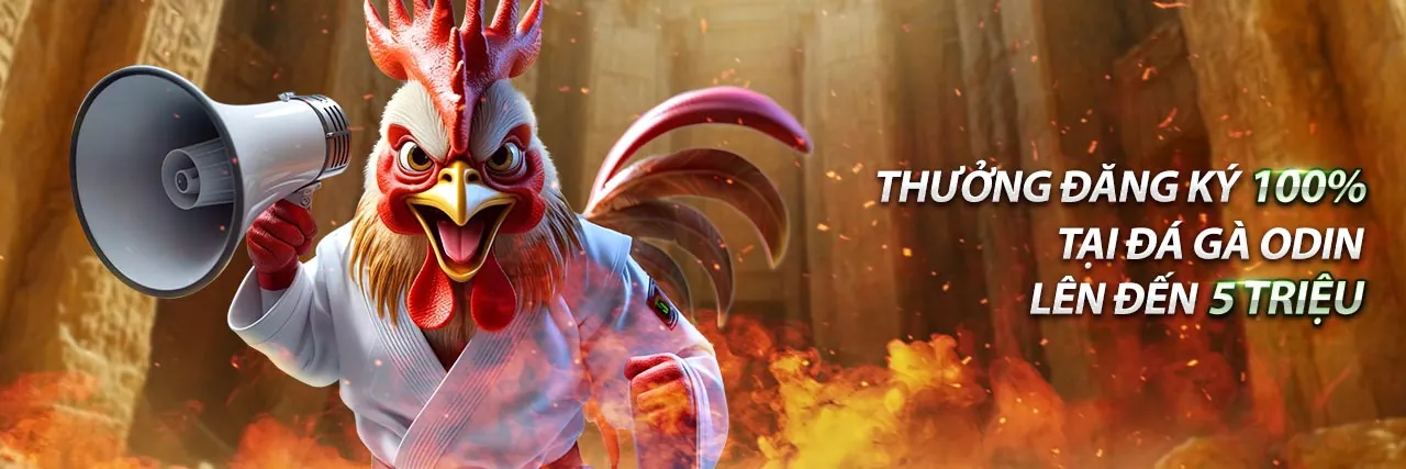 Hình ảnh Điều Khoản Dịch Vụ của top 20 nhà cái uy tín